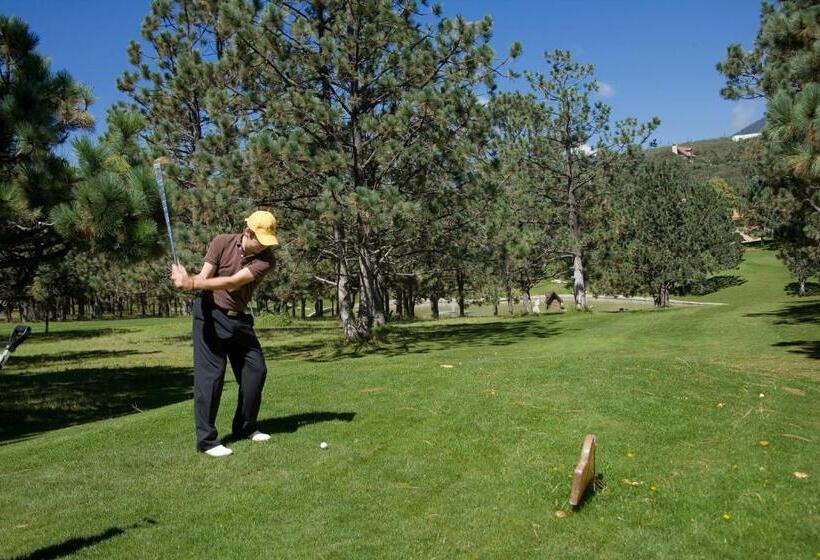 Отель Bosques De Monterreal