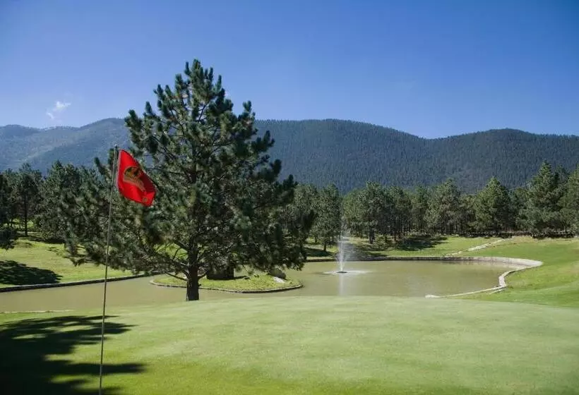 Hotelli Bosques De Monterreal