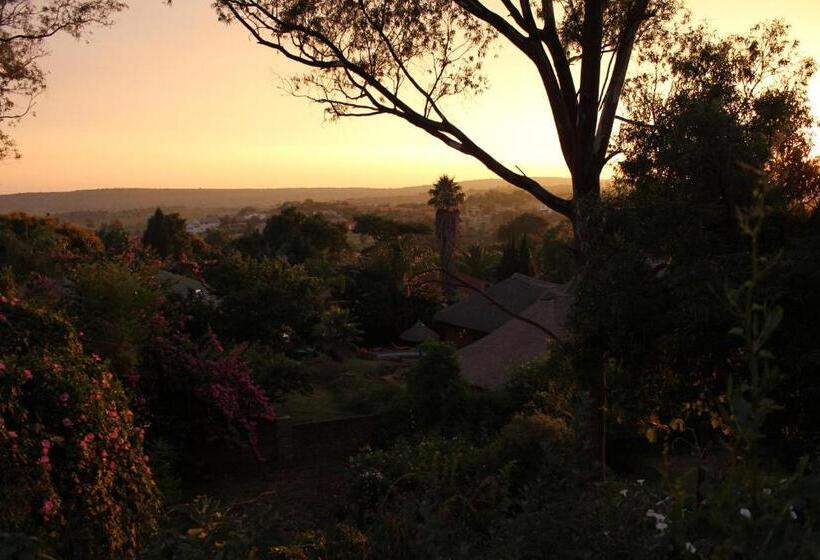 Aviators Retreat B&b