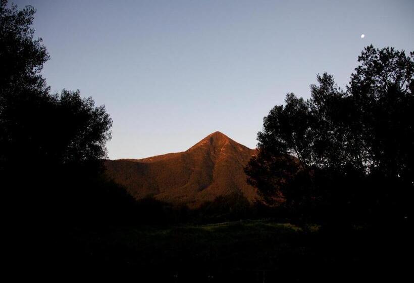 مبيت وإفطار Andelomi Forest Lodge