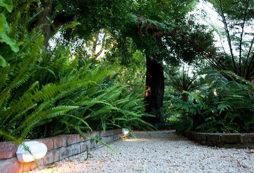 مبيت وإفطار Andelomi Forest Lodge