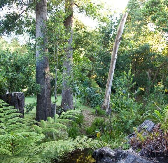 مبيت وإفطار Andelomi Forest Lodge