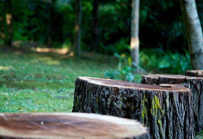 مبيت وإفطار Andelomi Forest Lodge