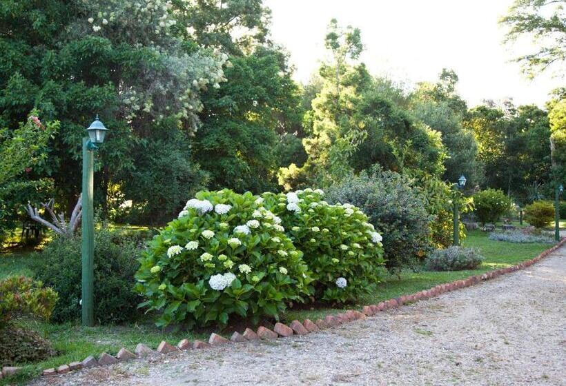 مبيت وإفطار Andelomi Forest Lodge