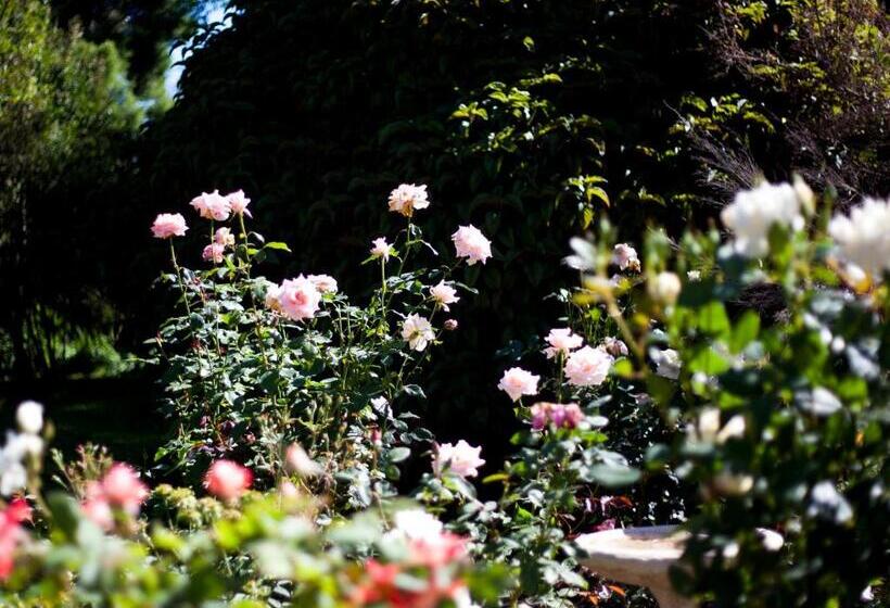 مبيت وإفطار Andelomi Forest Lodge