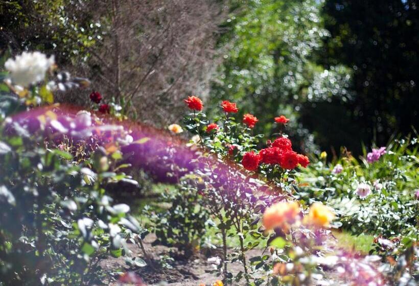 مبيت وإفطار Andelomi Forest Lodge