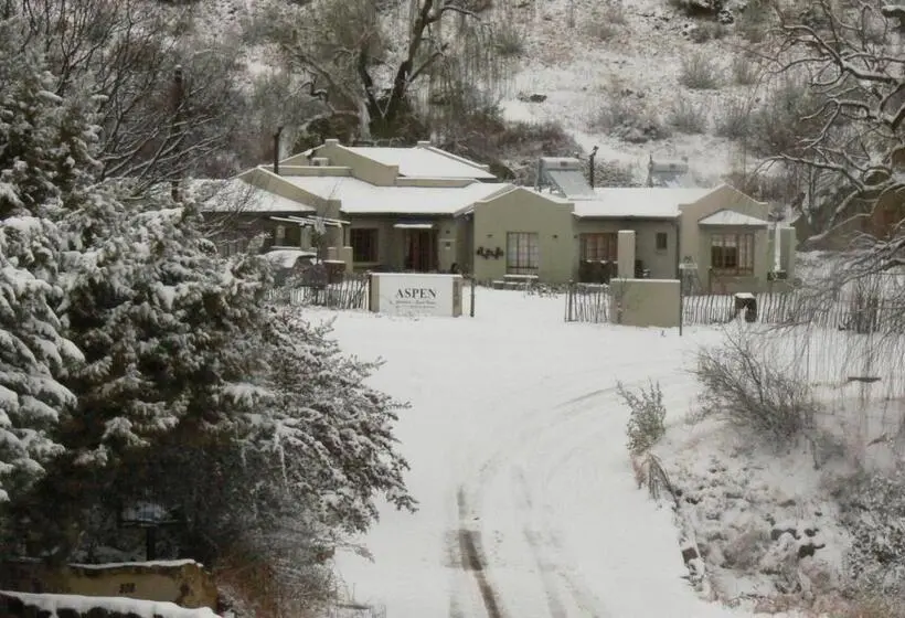 ベッドアンドブレックファースト Aspen Guest House