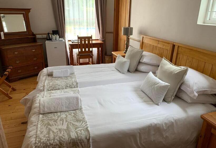 住宿加早餐  Avenues Guest House