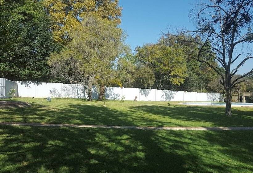 Bed and Breakfast Nyati Lodges