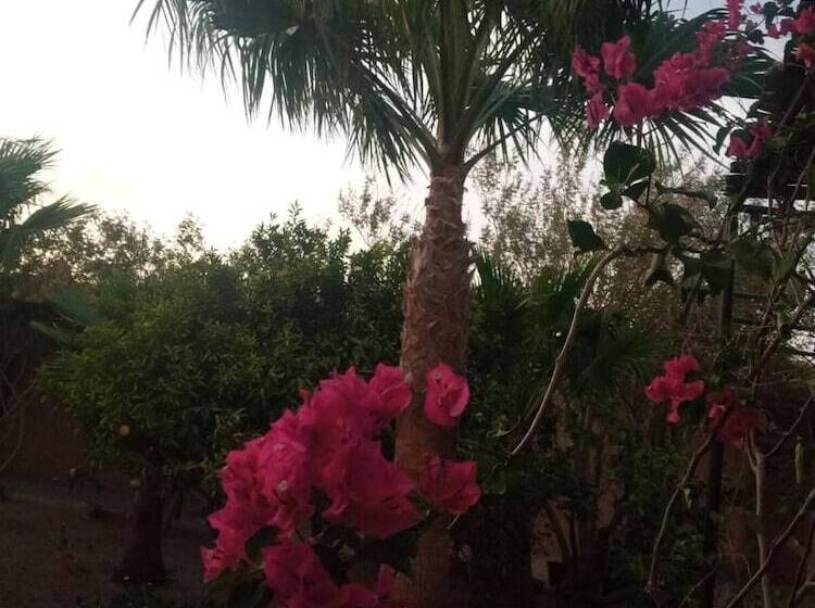 تختخواب و صبحانه Auberge Bassou