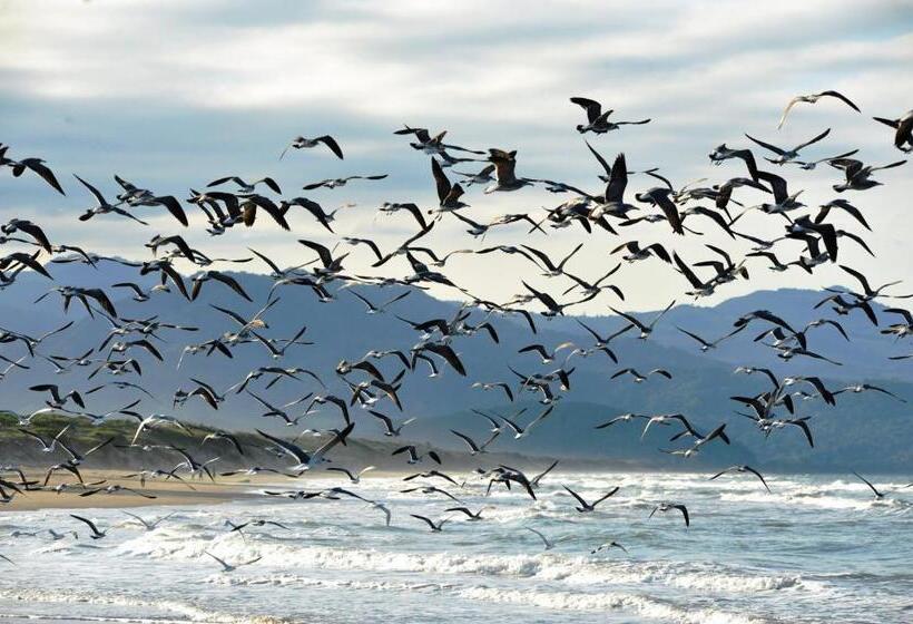 فندق Ecobiosfera