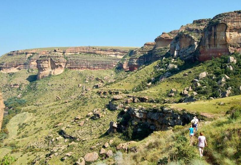 渡假胜地  Wyndford Holiday Farm