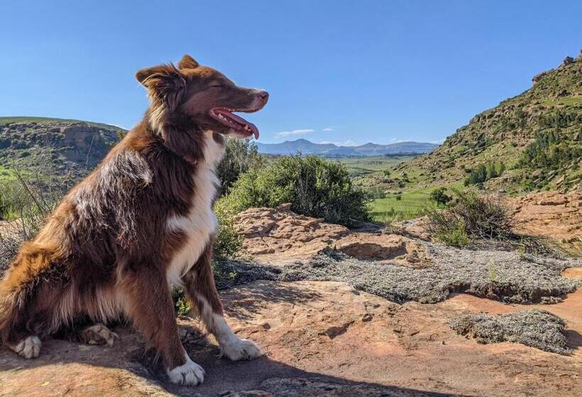 渡假胜地  Wyndford Holiday Farm
