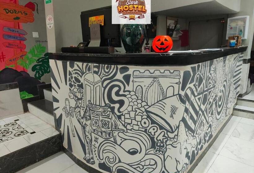 Stork Marrakech Luxury Hostel