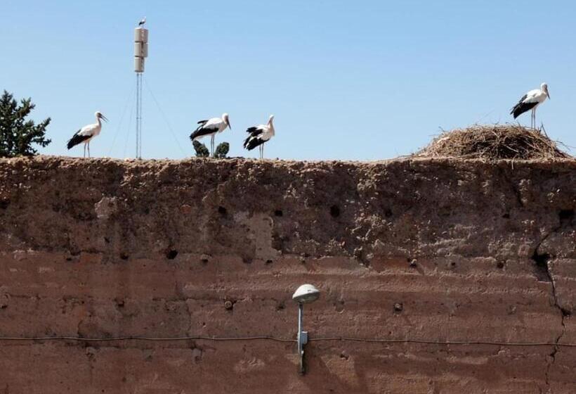 Stork Marrakech Luxury Hostel