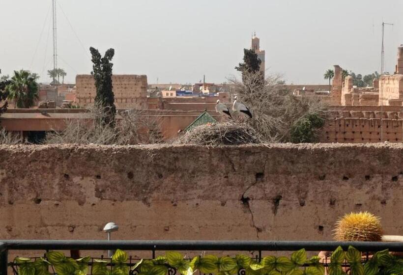 Stork Marrakech Luxury Hostel