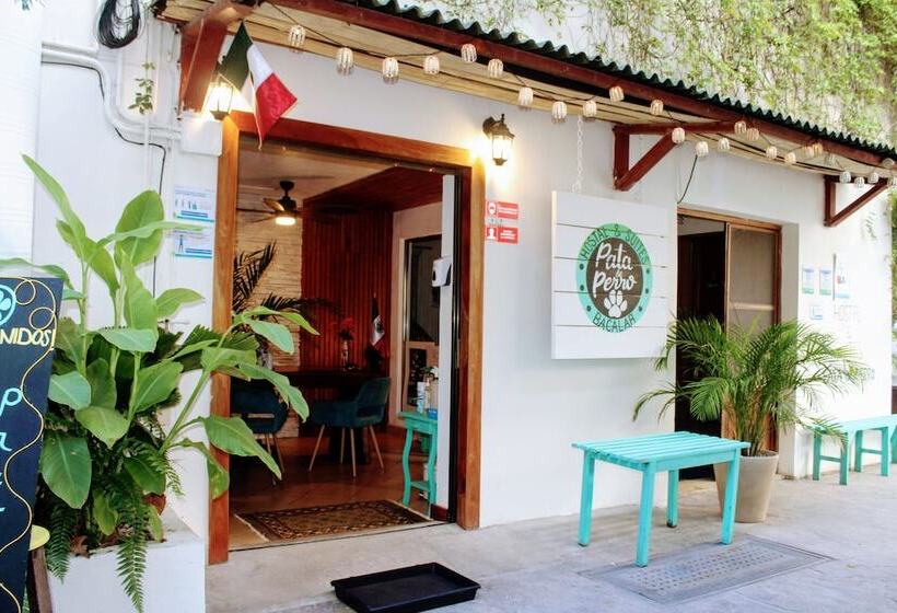 Szálló Hostal & Suites Pata De Perro