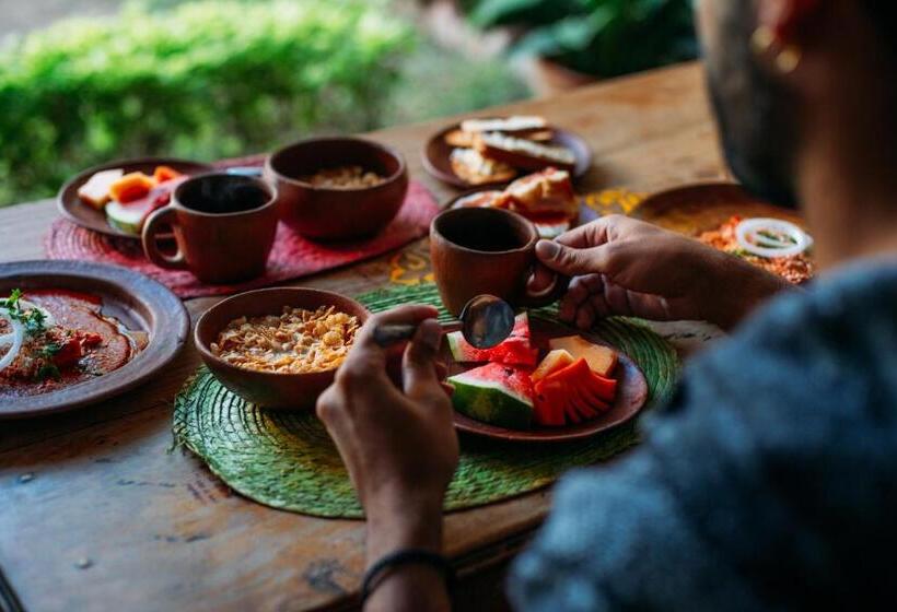 Bed and Breakfast Azul Cielo Hostel