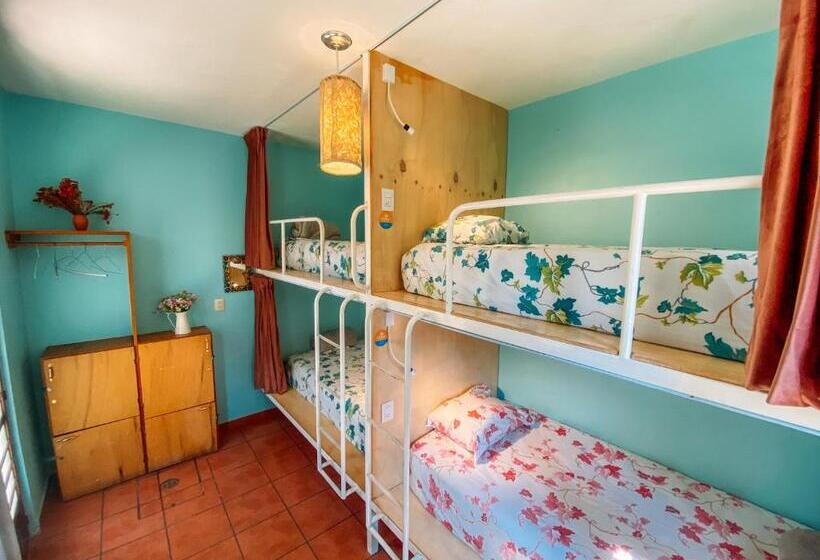 Bed and Breakfast Azul Cielo Hostel