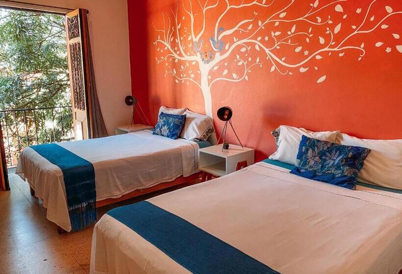 Bed and Breakfast Azul Cielo Hostel