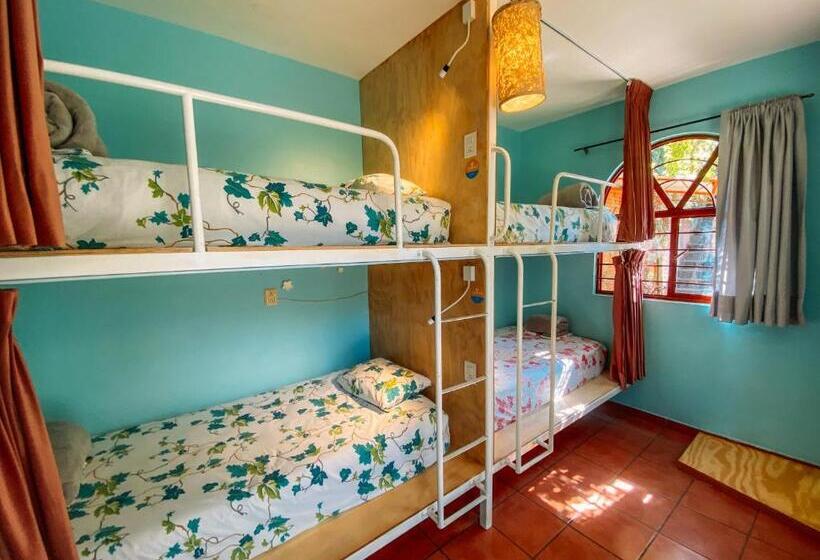 Bed and Breakfast Azul Cielo Hostel