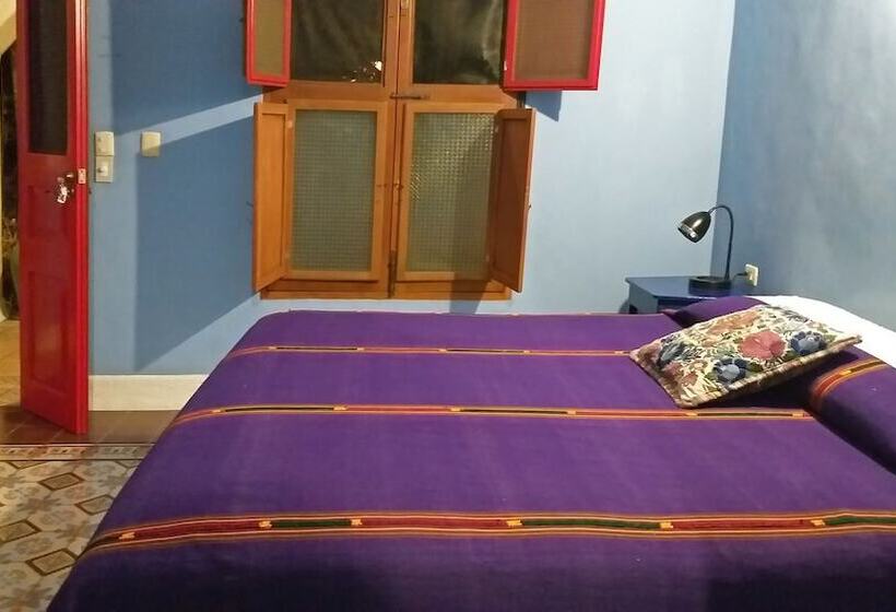 ベッドアンドブレックファースト Medio Mundo