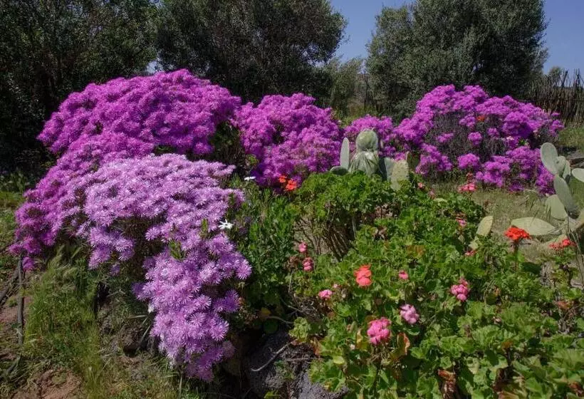 Aamiaismajoitus (B&B) Quinta Maria En La Ruta Del Vino