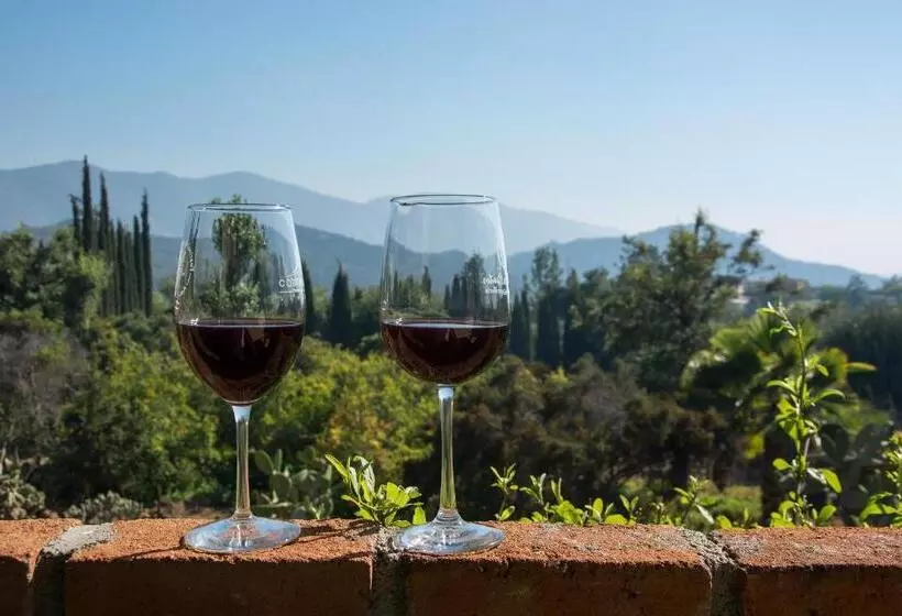 Aamiaismajoitus (B&B) Quinta Maria En La Ruta Del Vino