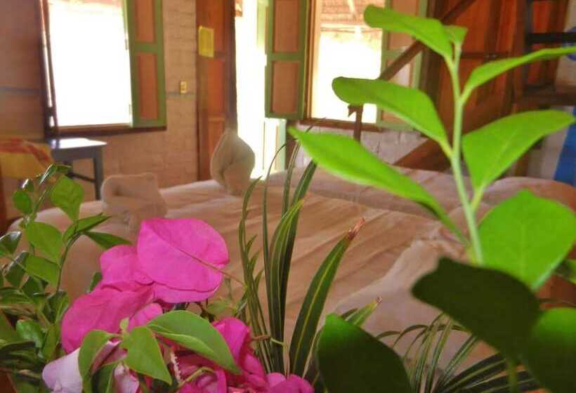 ホテル Altamira Mazunte