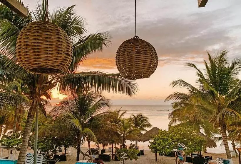 ホテル El Fuerte Beach Apartments