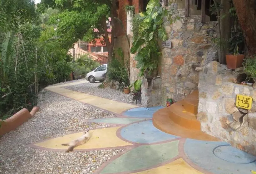 ホテル La Loma Linda, Bungalows, Yoga And Feldenkrais, Starlink Internet