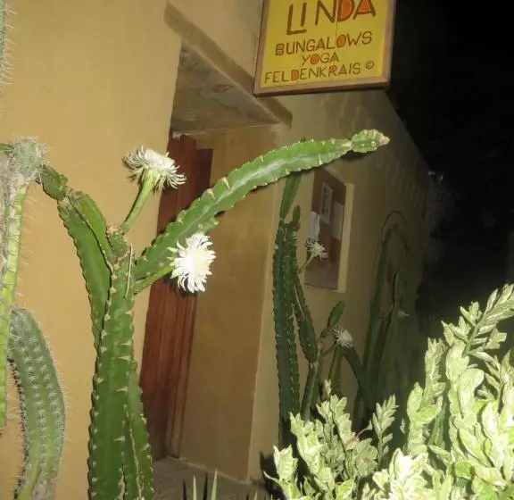 ホテル La Loma Linda, Bungalows, Yoga And Feldenkrais, Starlink Internet