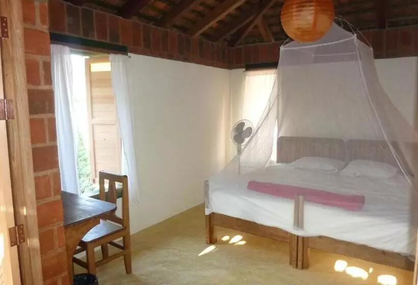 ホテル La Loma Linda, Bungalows, Yoga And Feldenkrais, Starlink Internet