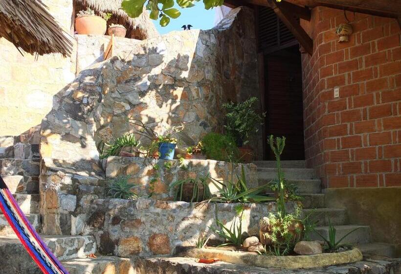 ホテル La Loma Linda, Bungalows, Yoga And Feldenkrais, Starlink Internet