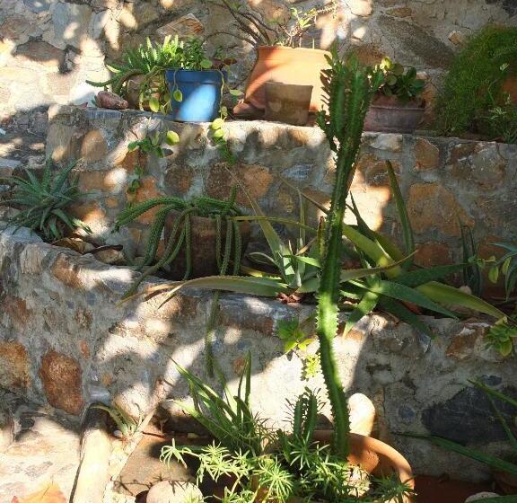 ホテル La Loma Linda, Bungalows, Yoga And Feldenkrais, Starlink Internet