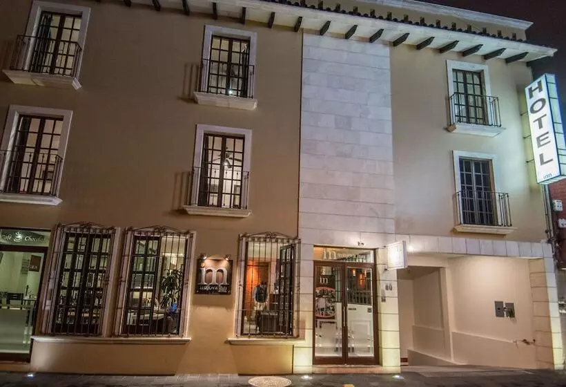 ホテル Majova Inn Xalapa