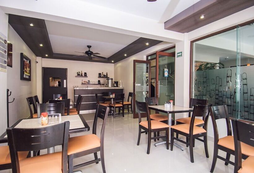 فندق Majova Inn Xalapa