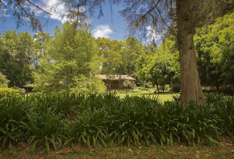 בית מלון כפרי Rancho San Cayetano