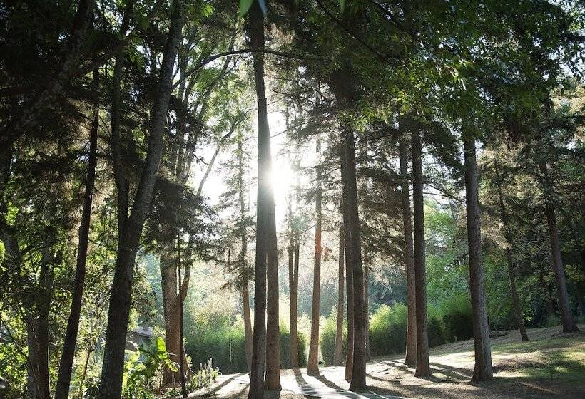 בית מלון כפרי Rancho San Cayetano