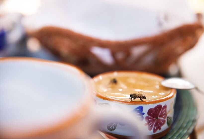 בית מלון כפרי Rancho San Cayetano