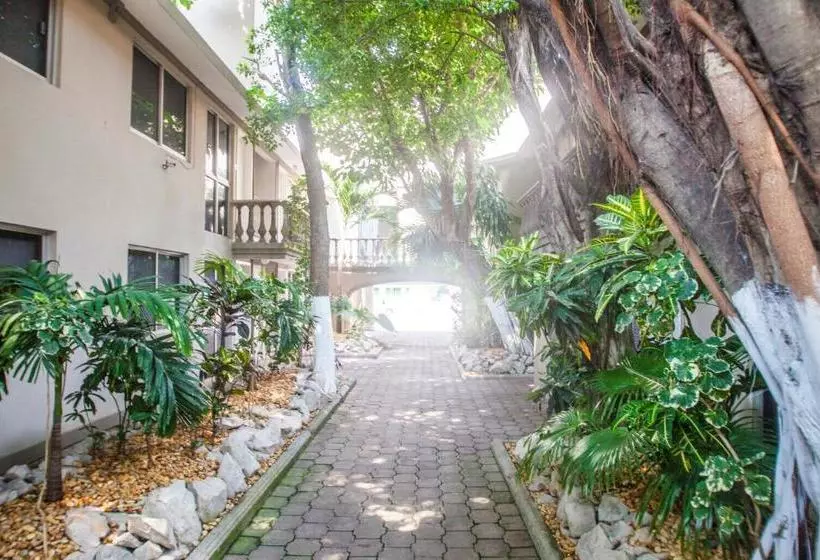 هتل Suites Lafragua