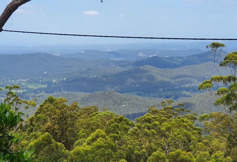 ホテル Tamborine Mountain Bed And Breakfast