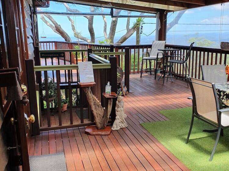 ホテル Tamborine Mountain Bed And Breakfast