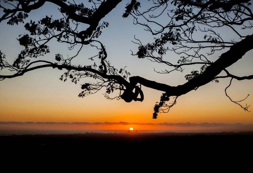 ホテル Tamborine Mountain Bed And Breakfast