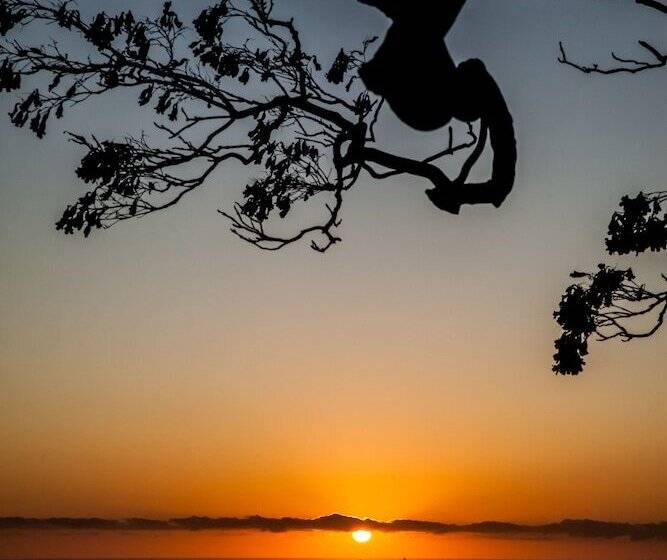 ホテル Tamborine Mountain Bed And Breakfast