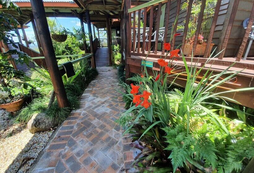 ホテル Tamborine Mountain Bed And Breakfast