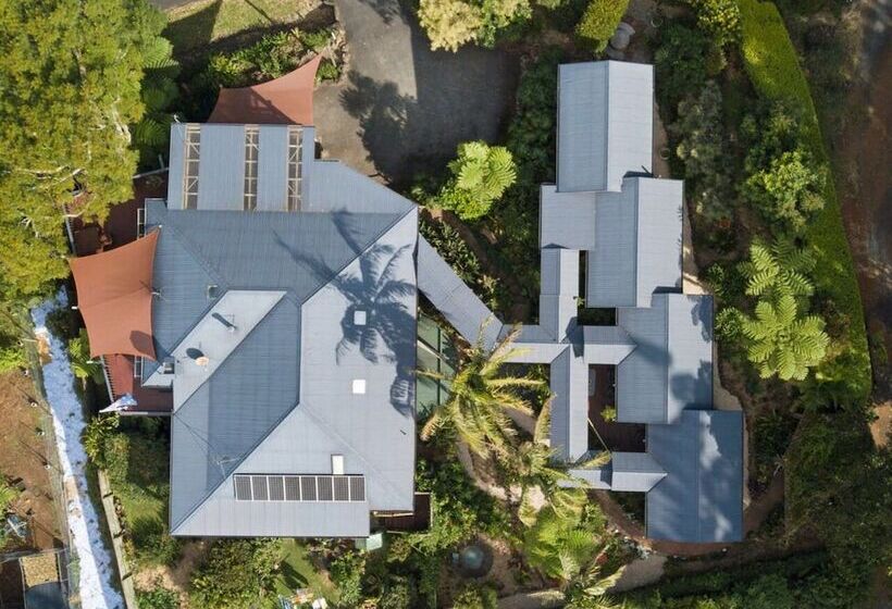 ホテル Tamborine Mountain Bed And Breakfast