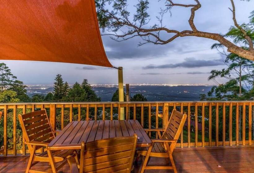 ホテル Tamborine Mountain Bed And Breakfast