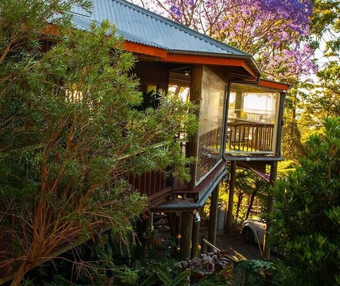 ホテル Tamborine Mountain Bed And Breakfast