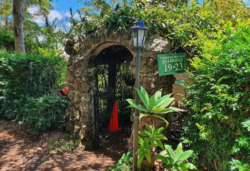 ホテル Tamborine Mountain Bed And Breakfast